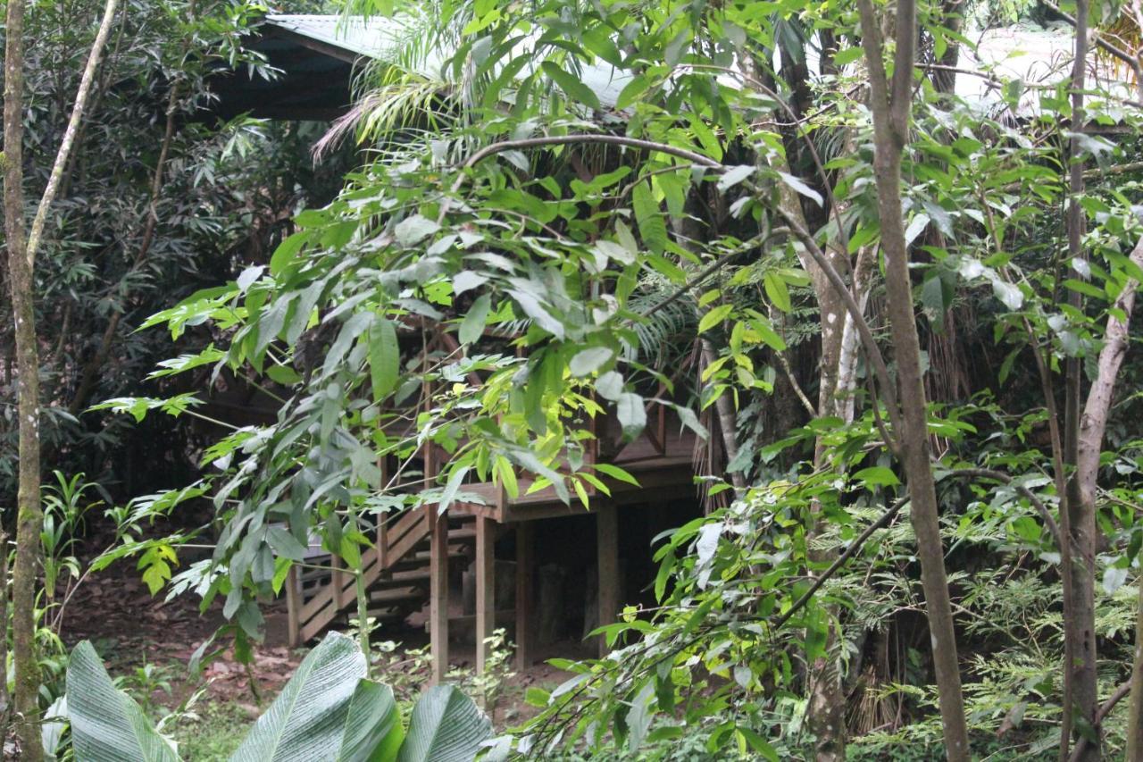 Iguana Libre Hotel Dominical Bagian luar foto