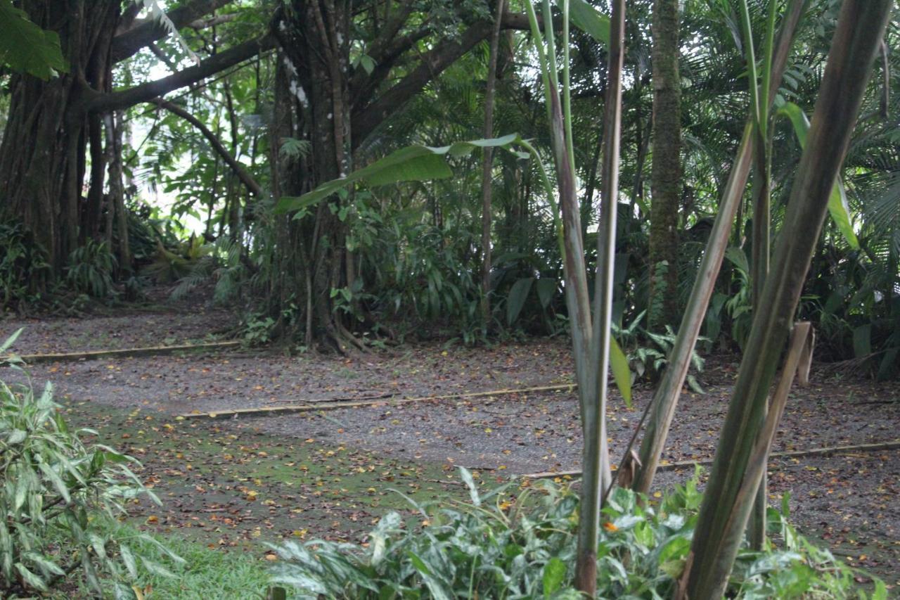 Iguana Libre Hotel Dominical Bagian luar foto