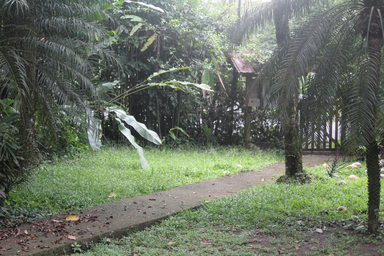 Iguana Libre Hotel Dominical Bagian luar foto