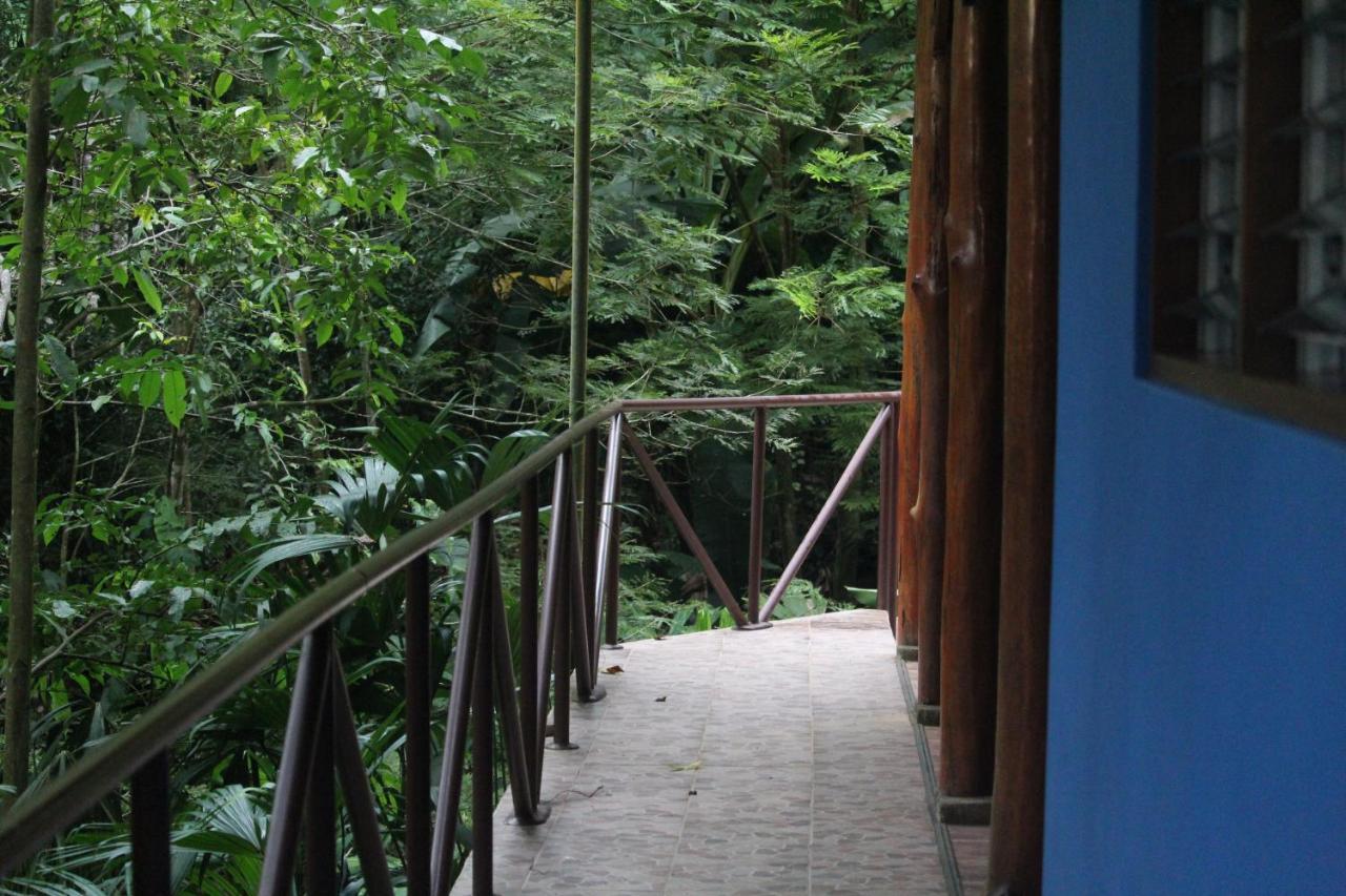 Iguana Libre Hotel Dominical Bagian luar foto
