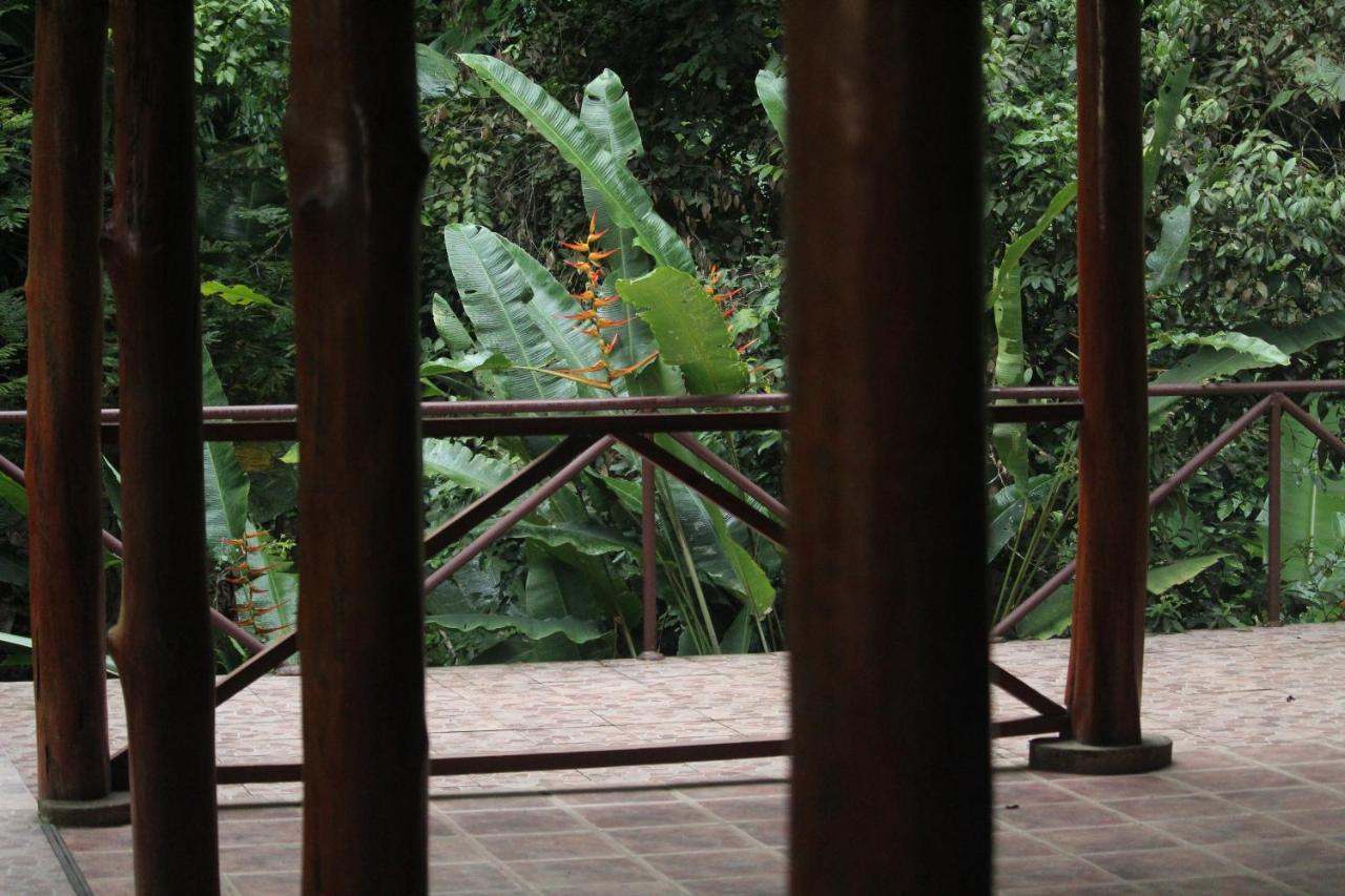 Iguana Libre Hotel Dominical Bagian luar foto