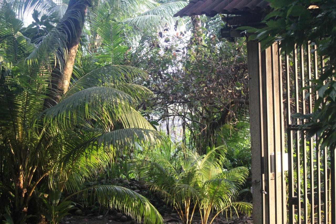 Iguana Libre Hotel Dominical Bagian luar foto