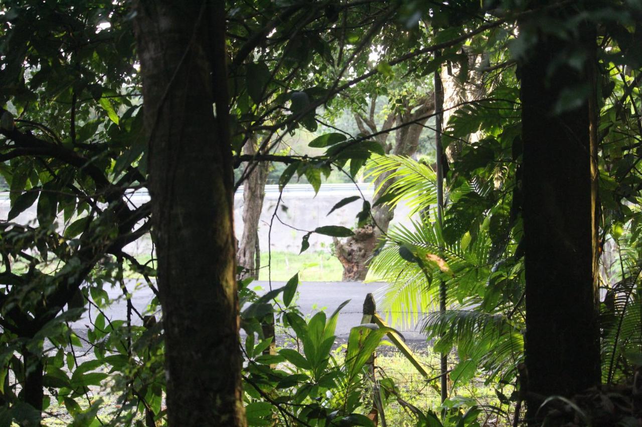 Iguana Libre Hotel Dominical Bagian luar foto