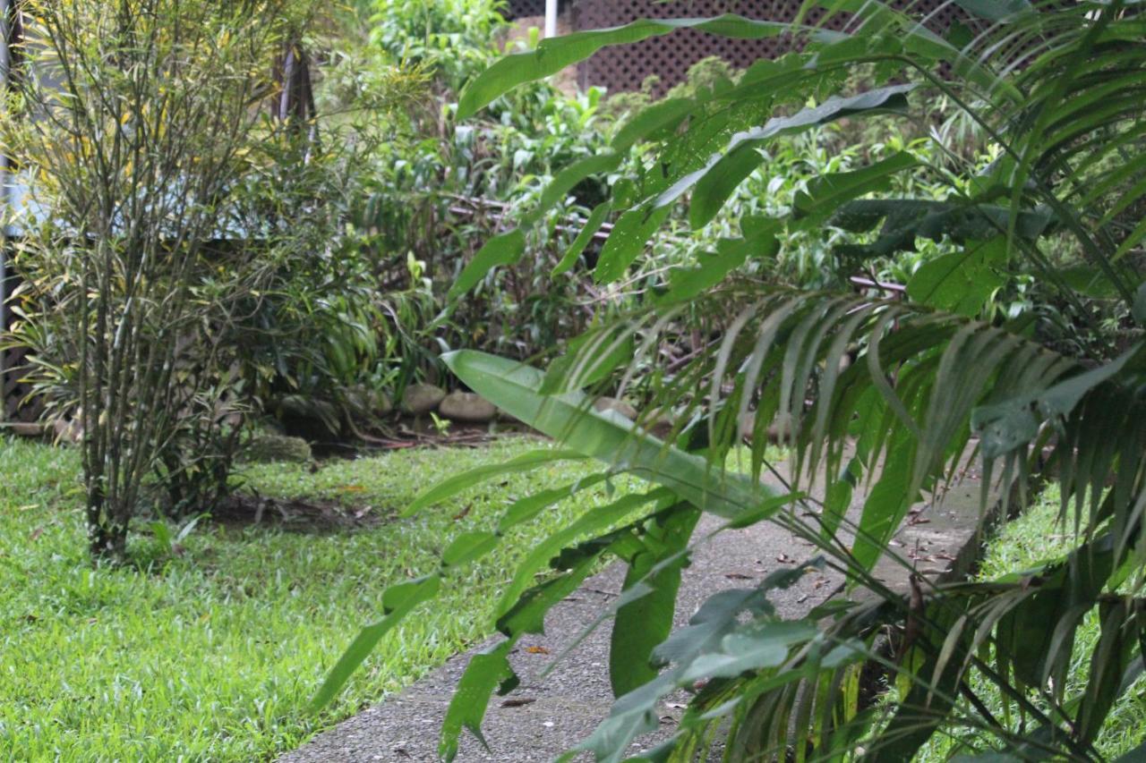 Iguana Libre Hotel Dominical Bagian luar foto