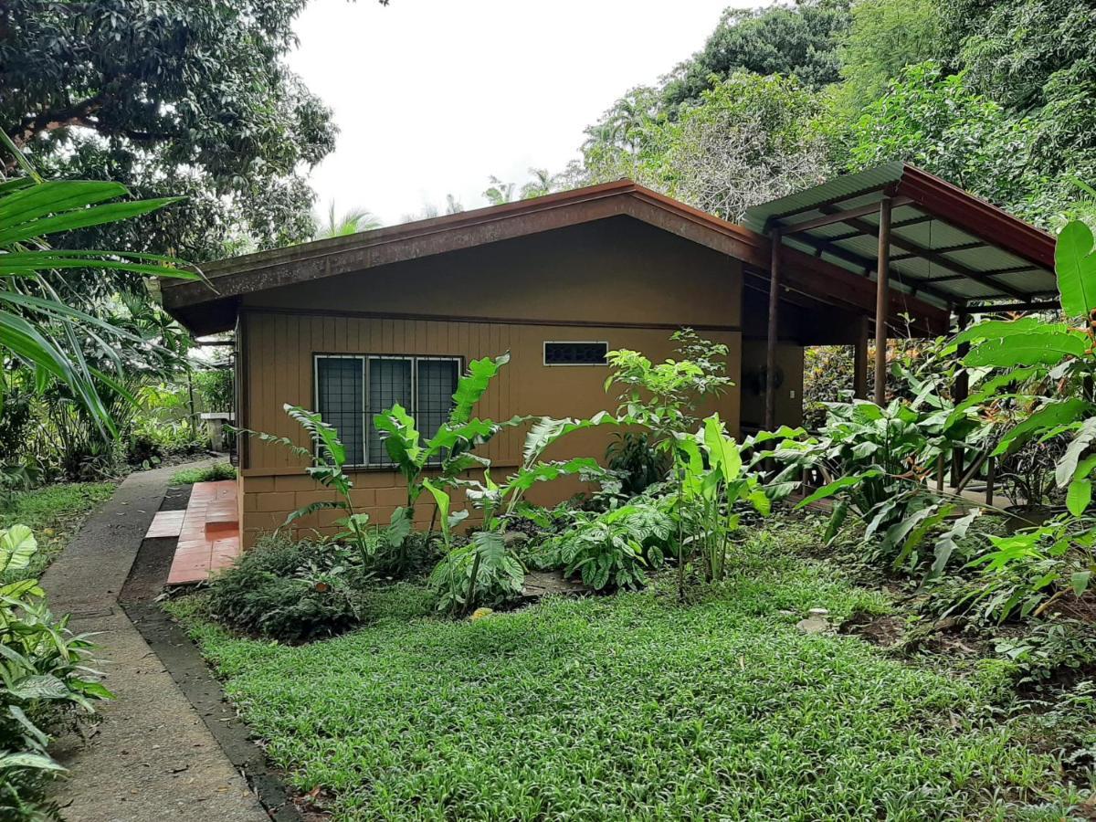 Iguana Libre Hotel Dominical Bagian luar foto